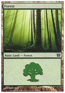 Forest (V.2)