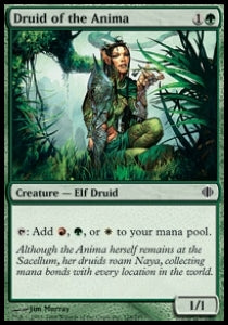 Druid of the Anima