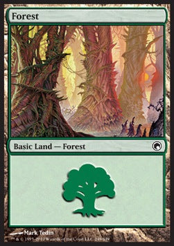 Forest (V.4)
