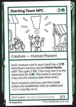 Starting Town NPC
