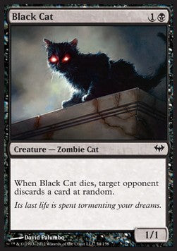 Black Cat - Dark Ascension (Common) [DKA-54]