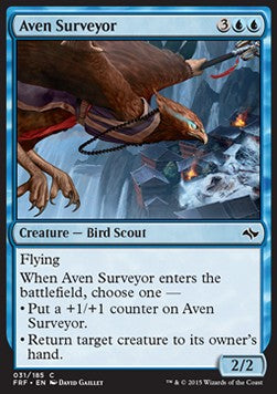 Aven Surveyor - Fate Reforged (Common) [FRF-31]