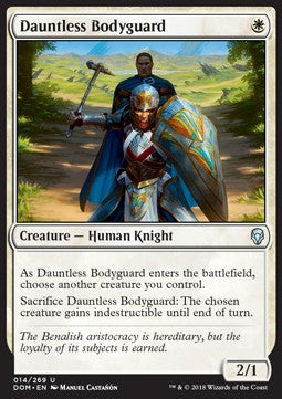 Dauntless Bodyguard