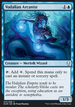 Vodalian Arcanist - Dominaria (Common) [DOM-73]