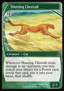 Hunting Cheetah
